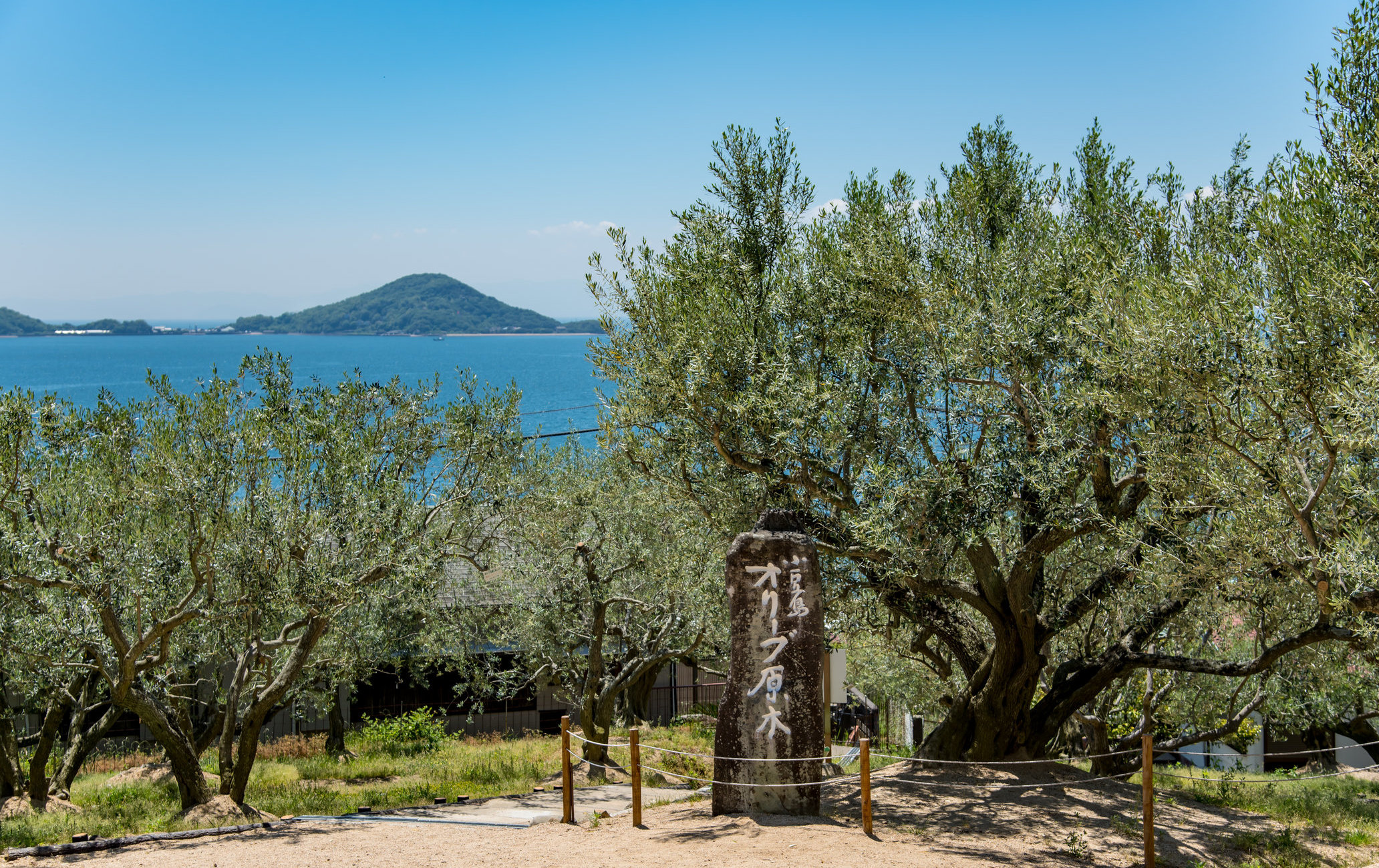 小豆島橄欖公園