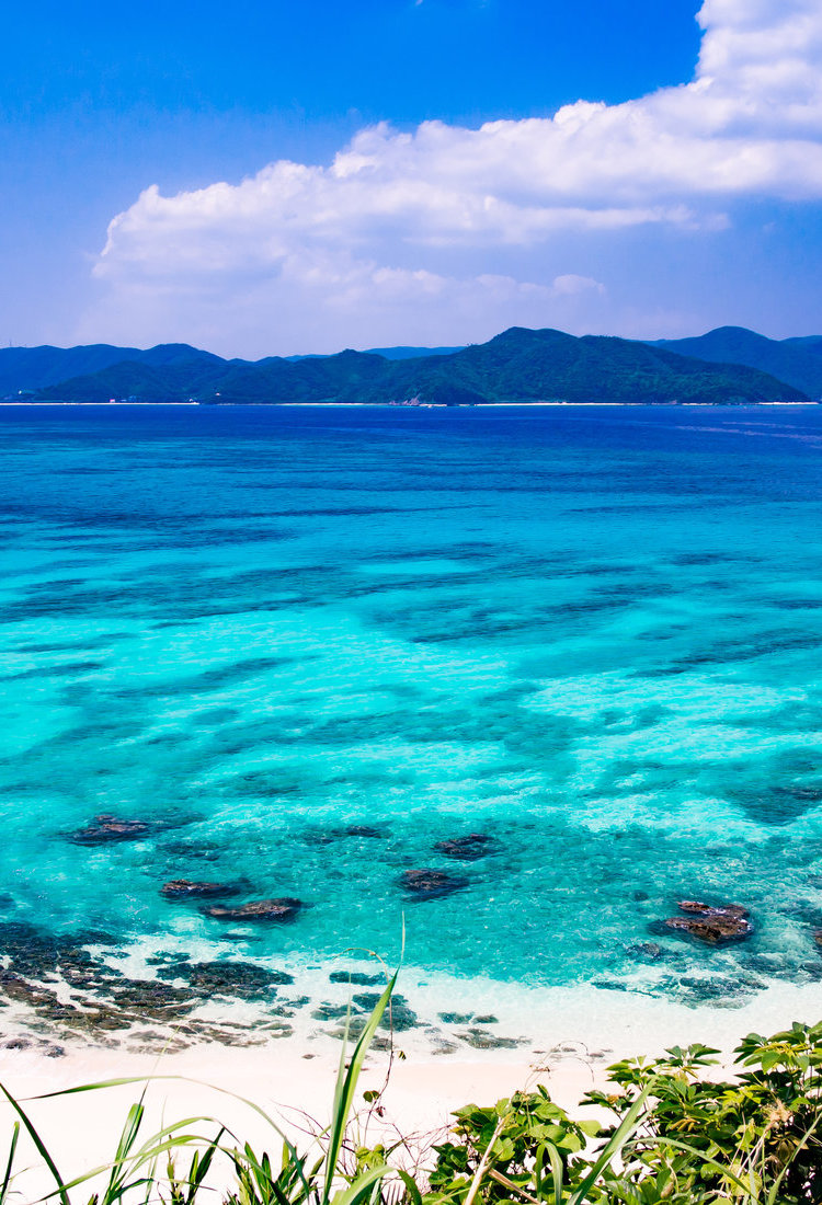 奄美群島