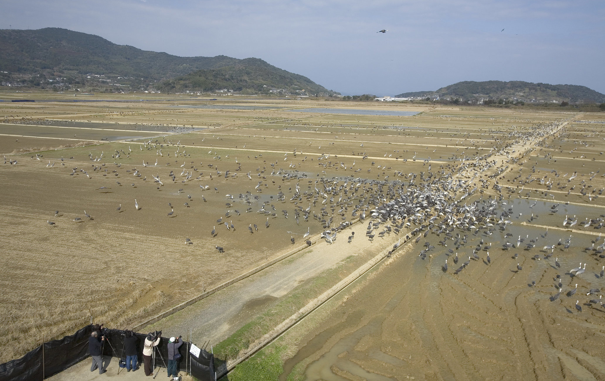出水市鶴觀察中心
