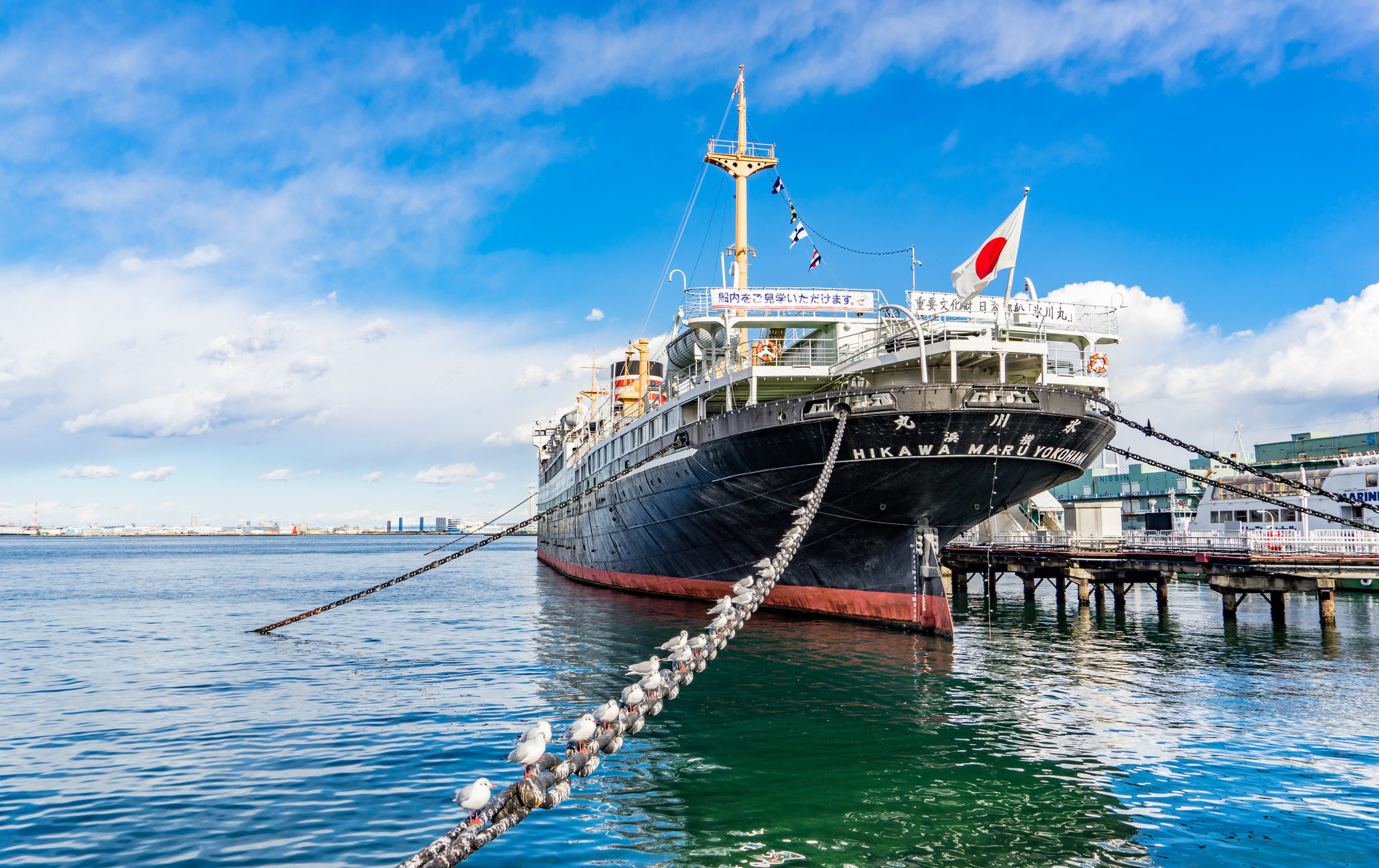 日本郵船冰川丸