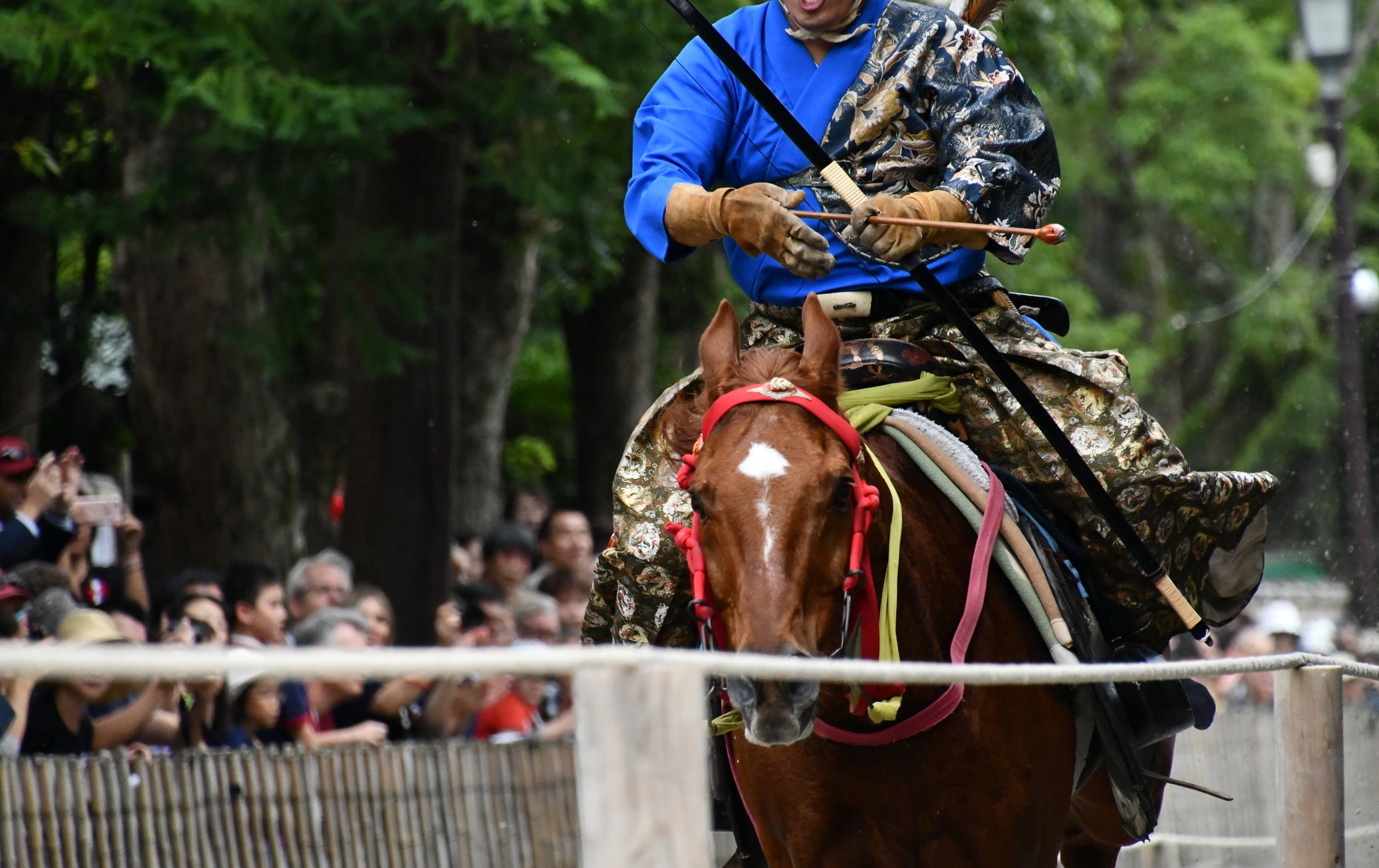 鶴岡八幡宮例大祭