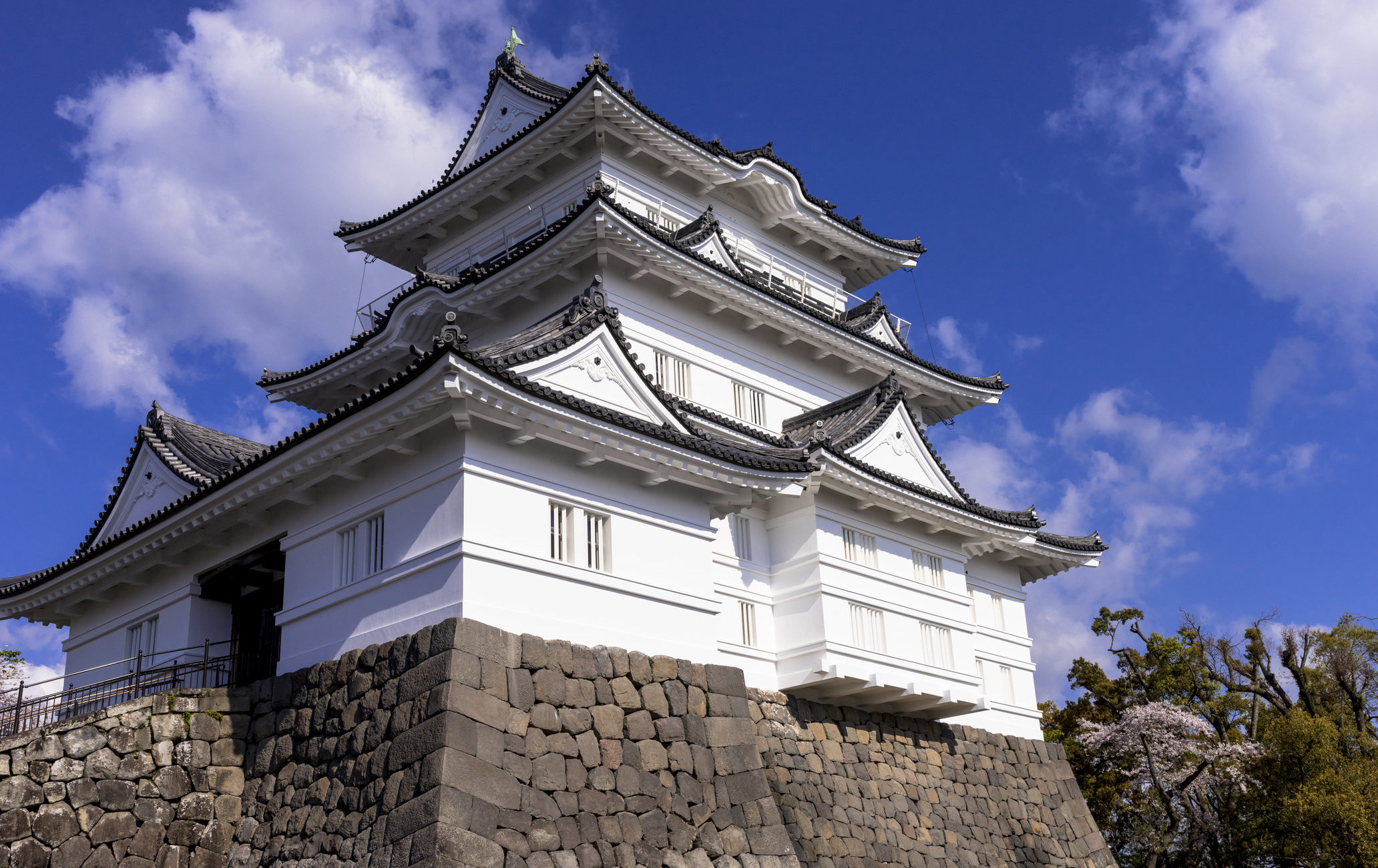 小田原城址公園