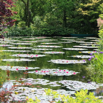 奧物部與手結住吉縣立自然公園