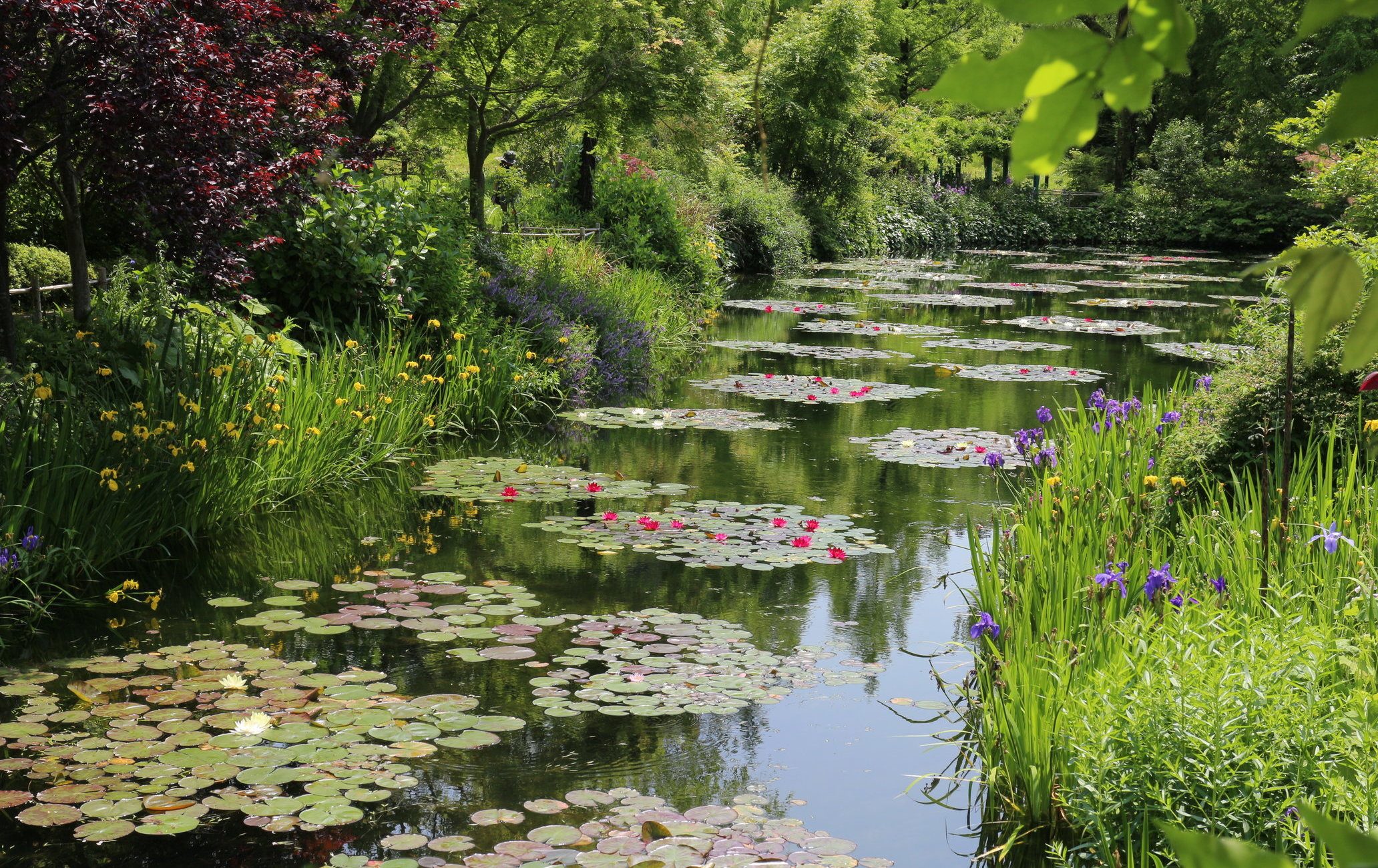 北川村“莫內庭園”瑪摩丹美術館