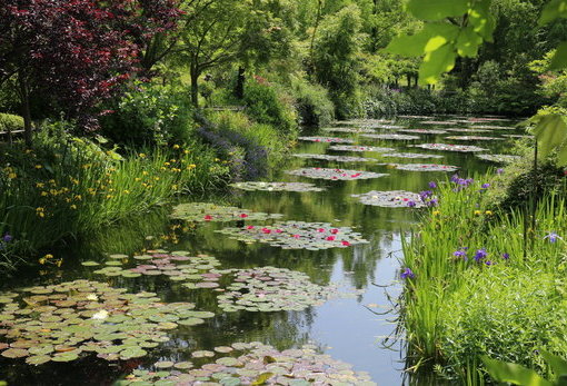 北川村“莫內庭園”瑪摩丹美術館