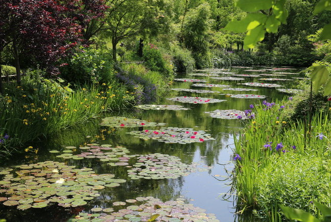北川村“莫內庭園”瑪摩丹美術館