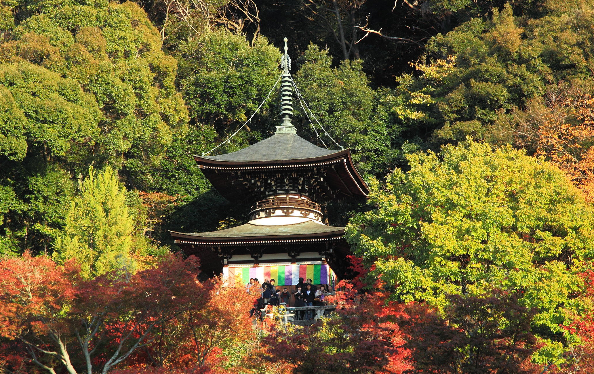 永觀堂（禪林寺）