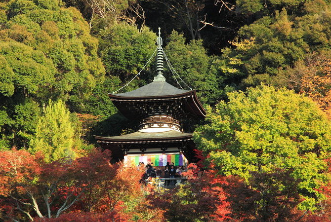永觀堂（禪林寺）
