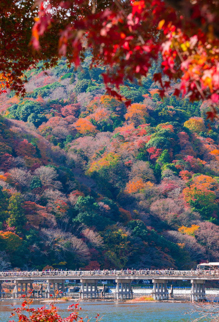 嵯峨野與嵐山