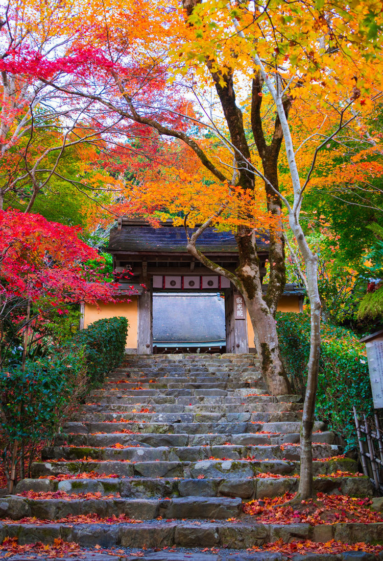 大原