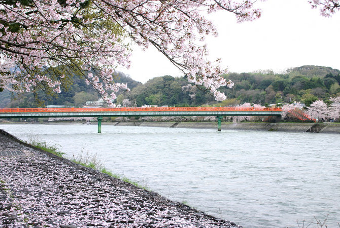 宇治橋