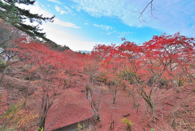 笠置山自然公園