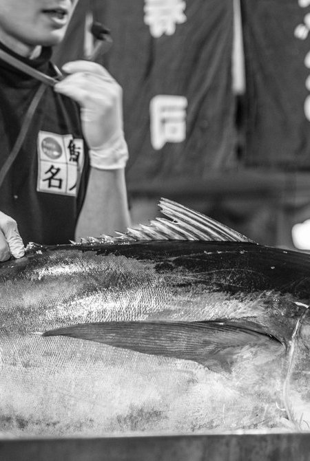 和歌山鮪魚