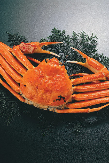 松葉雪蟹