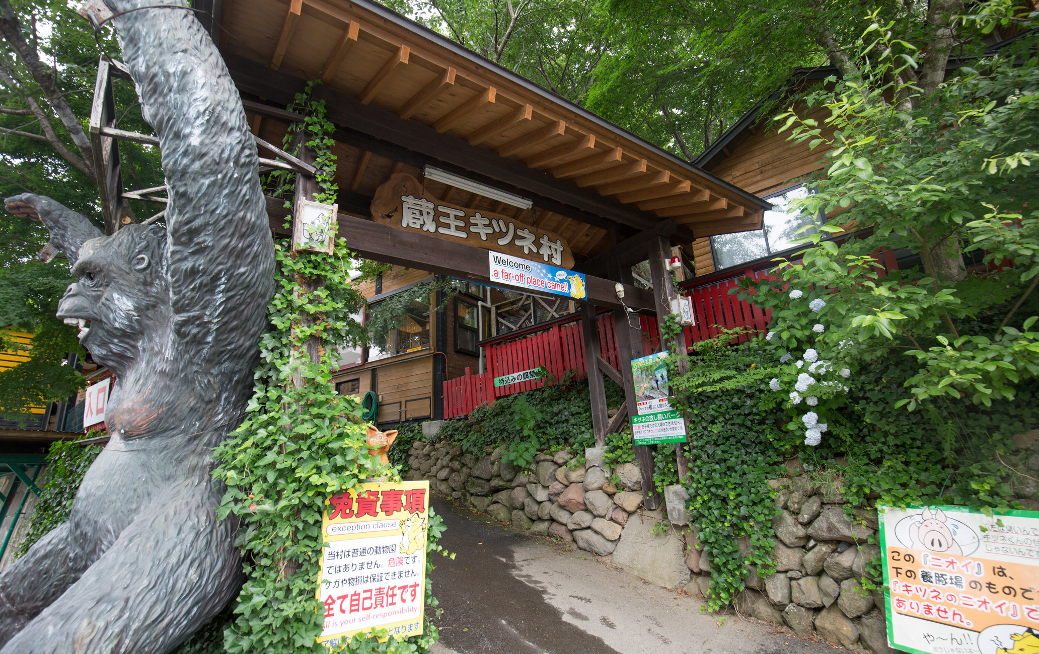 宮城藏王狐貍村