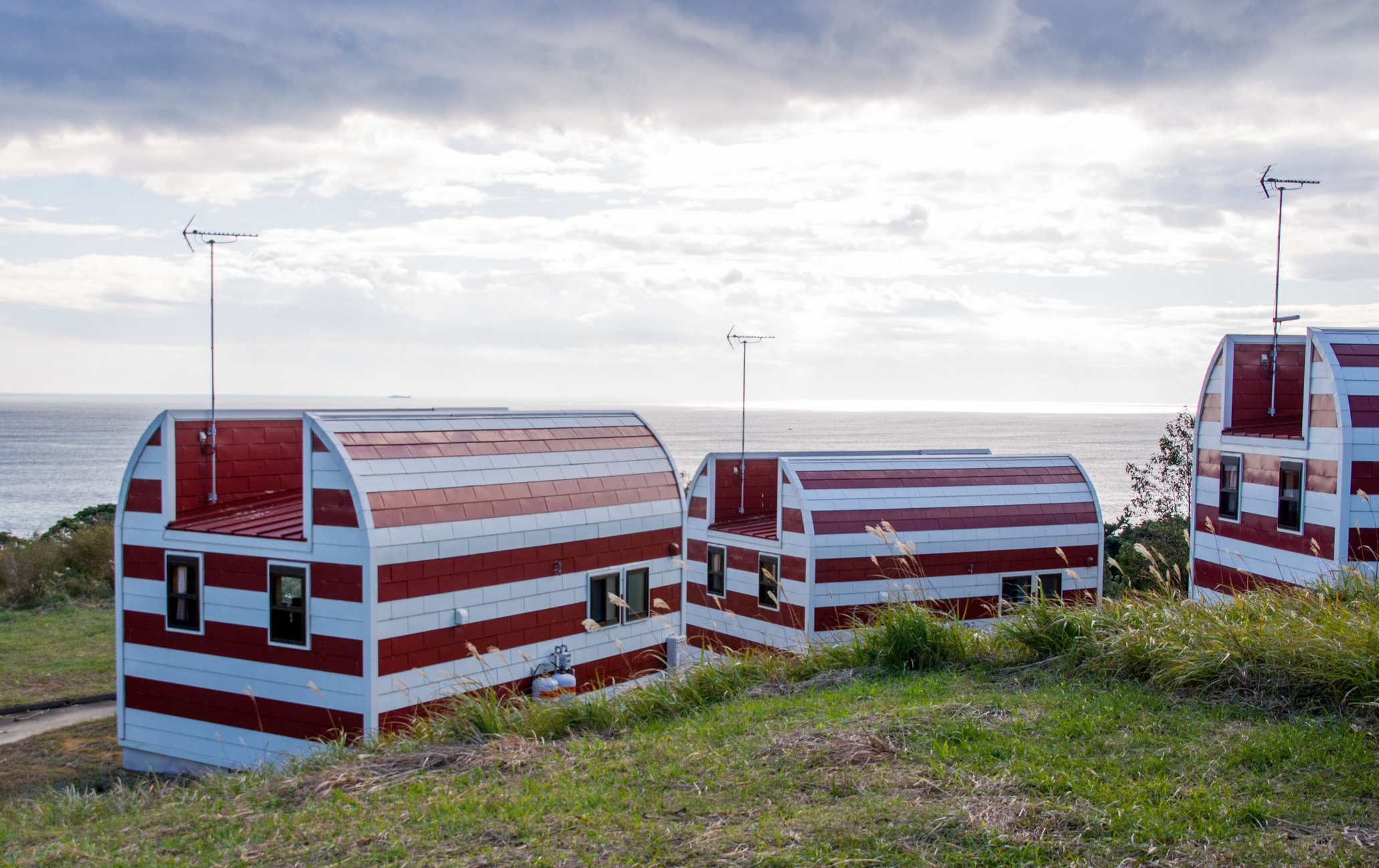 田代島（貓島）