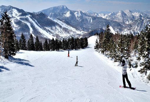 志賀高原滑雪場