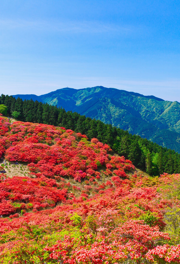 葛城