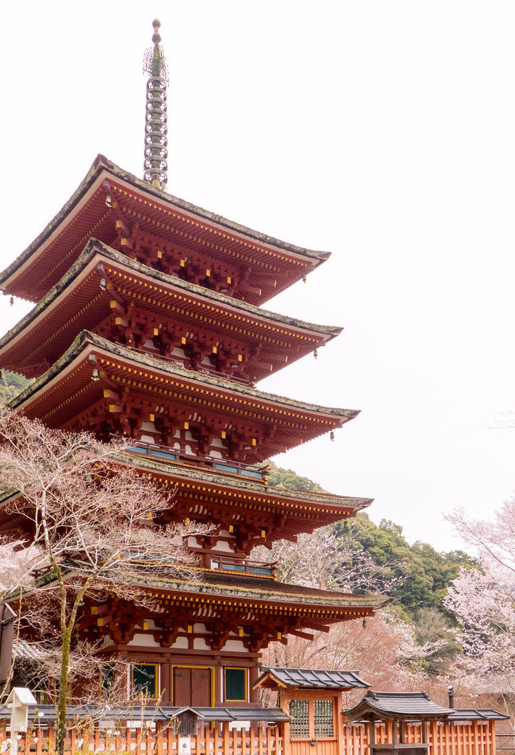 山邊道