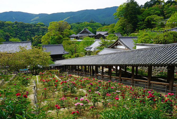 長谷寺（神奈川）