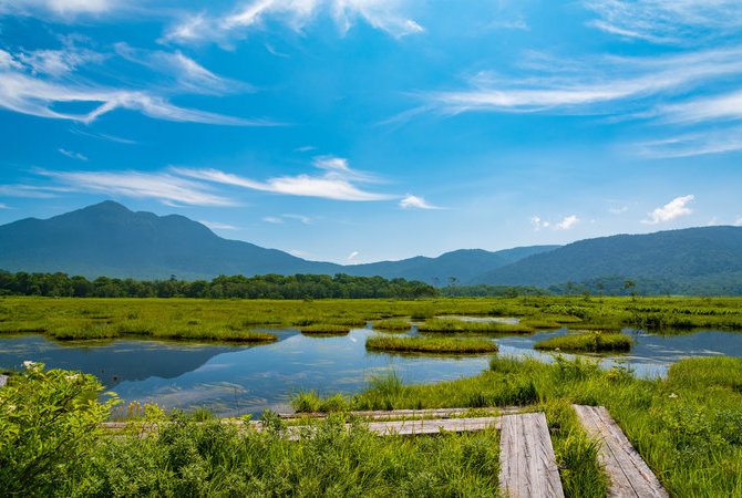 尾瀨國立公園（新潟）