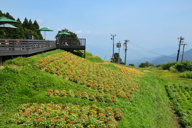 湯澤高原滑雪場