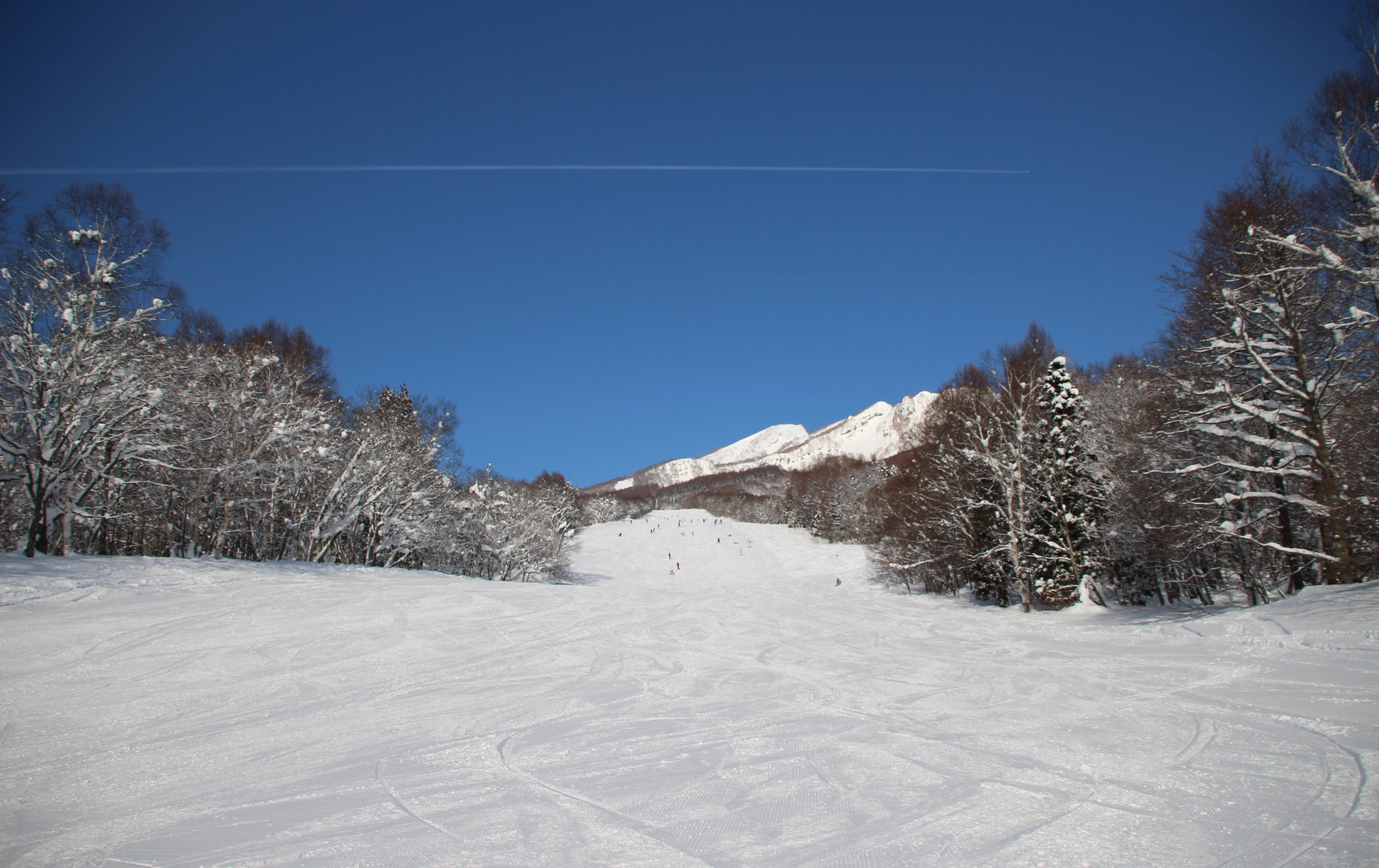 妙高杉之原滑雪場