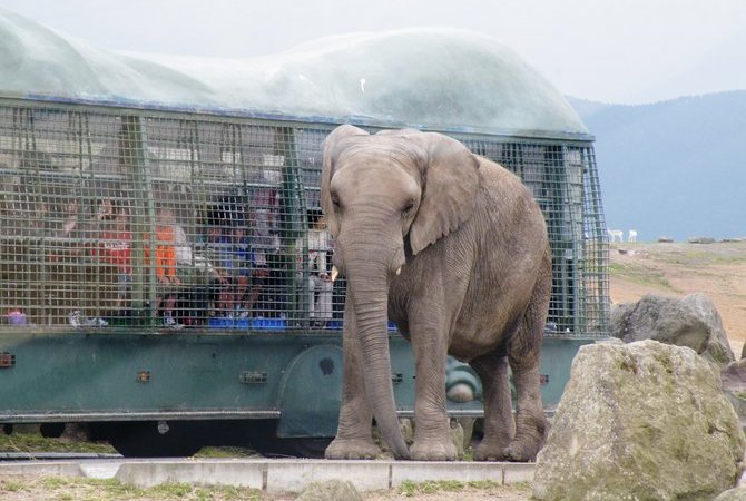 九州自然動物園