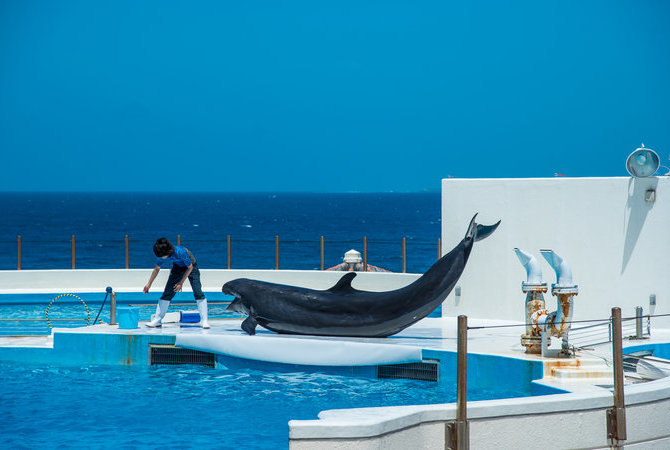 沖繩美麗海水族館