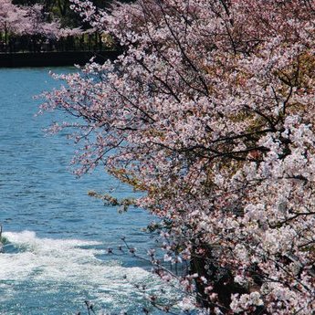 大阪城及周邊區域