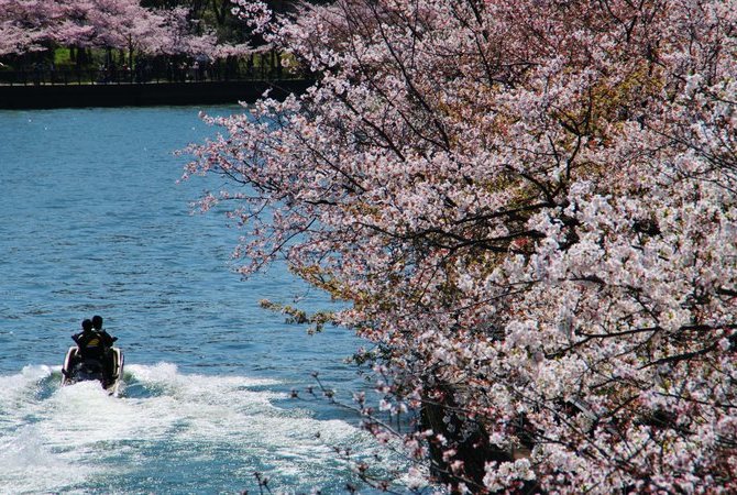 大阪城及周邊區域