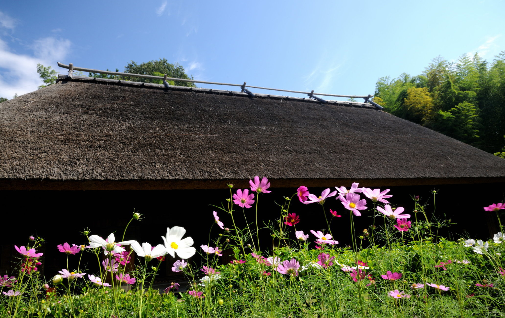 日本民家集落博物館