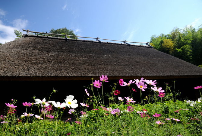 日本民家集落博物館