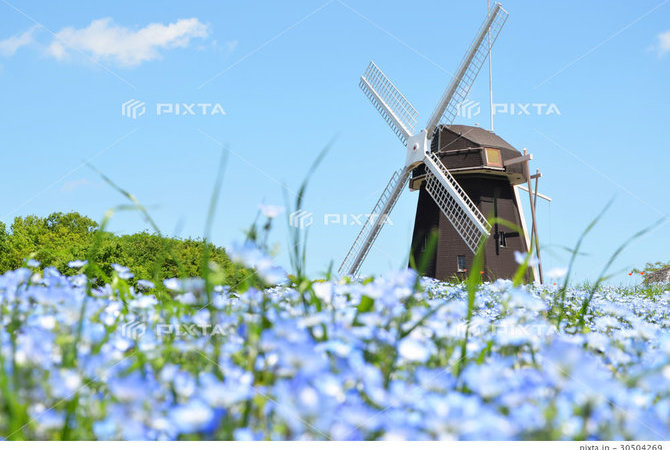 花博紀念公園鶴見綠地