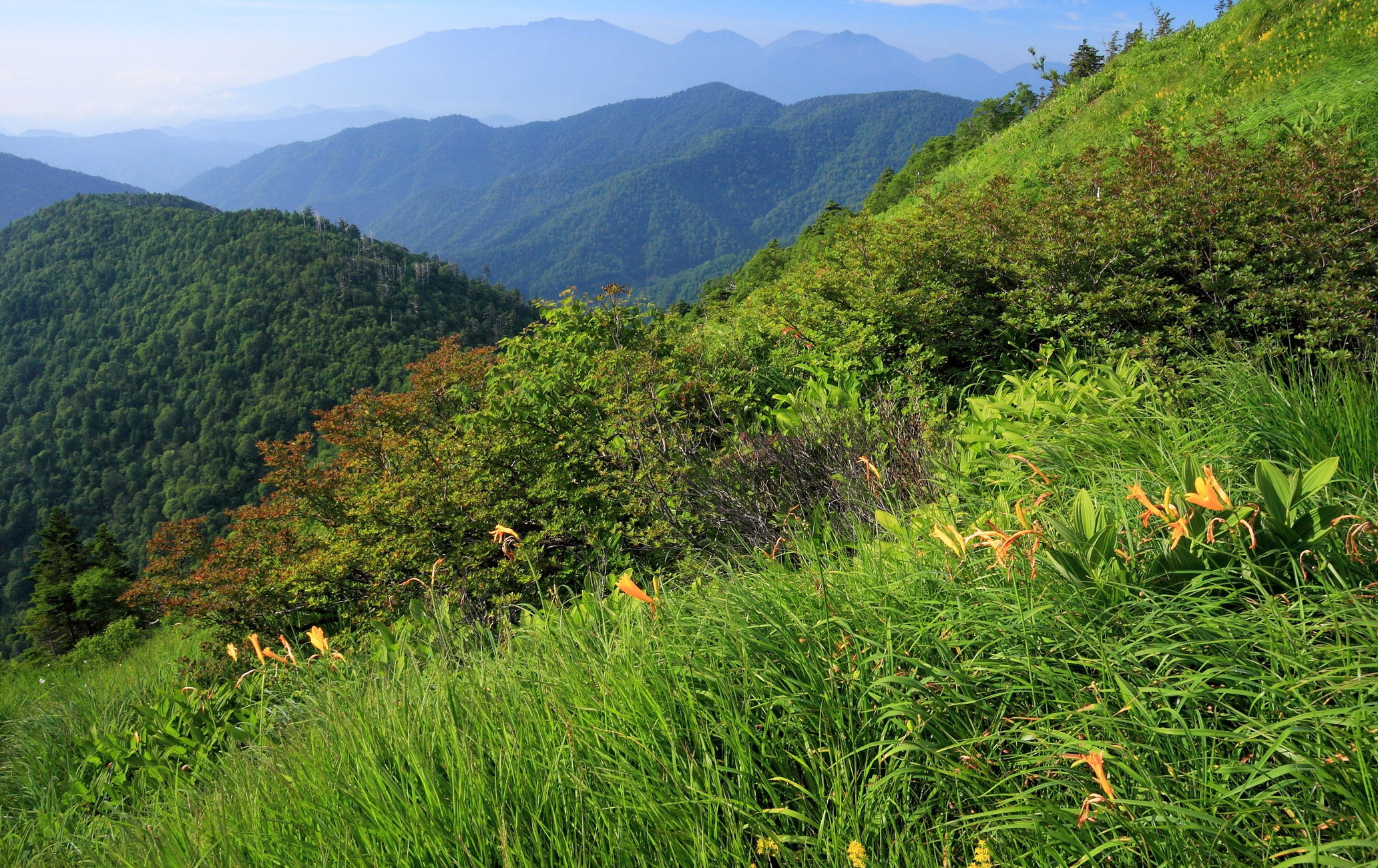尾瀨國立公園（栃木）