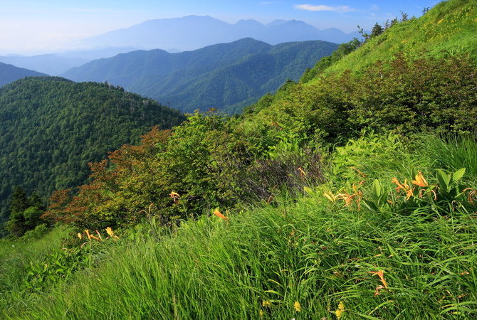 尾瀨國立公園（栃木）