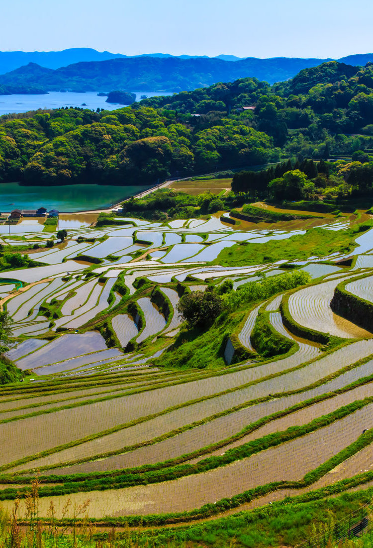佐賀