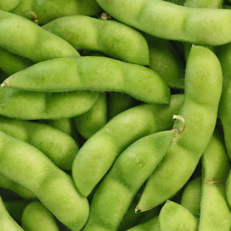 日本素食和素食主義者指南