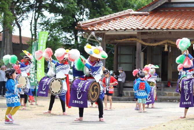 川平町花田插秧