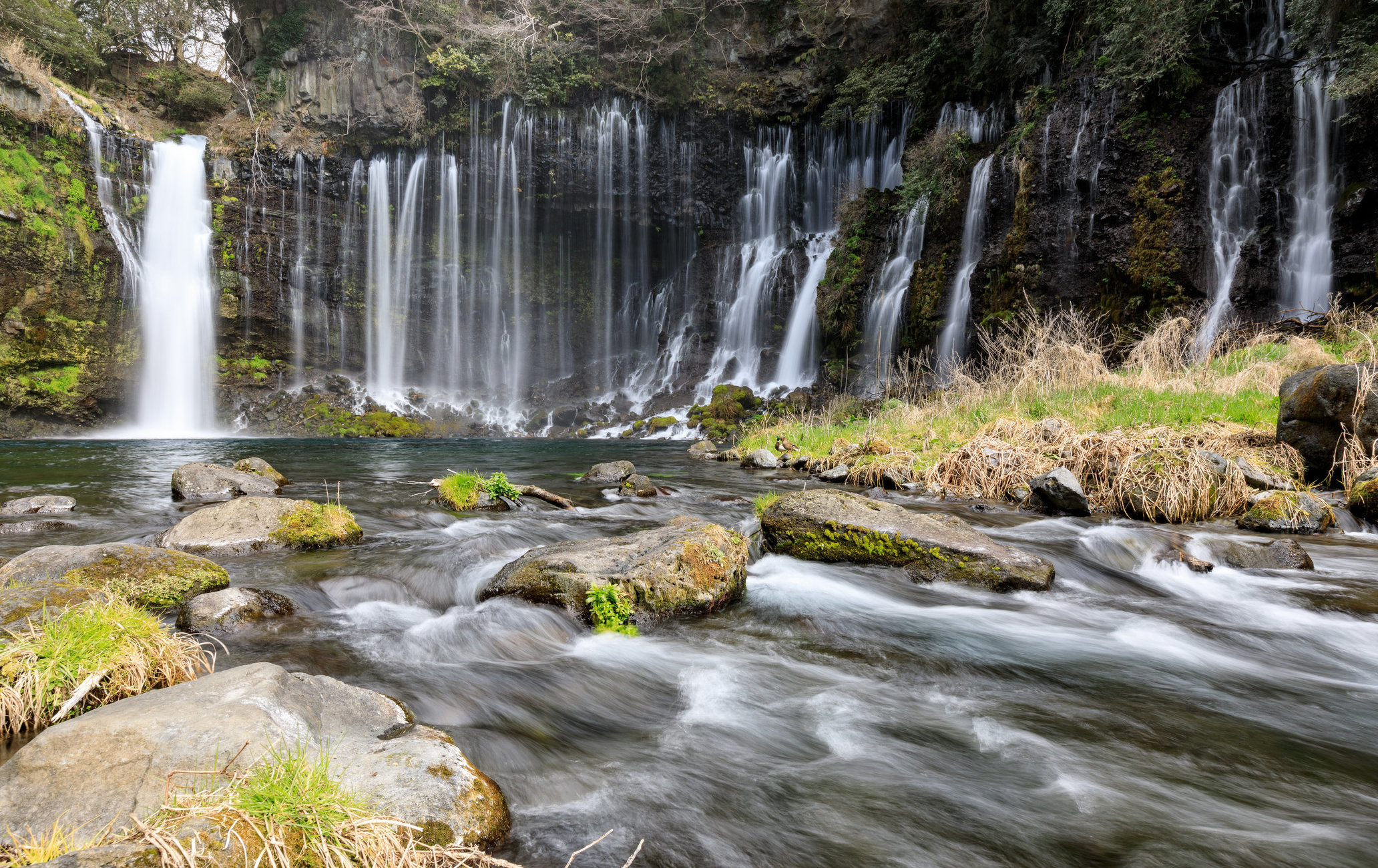 白絲瀑布（靜岡）