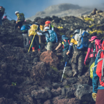 日本活動與探險