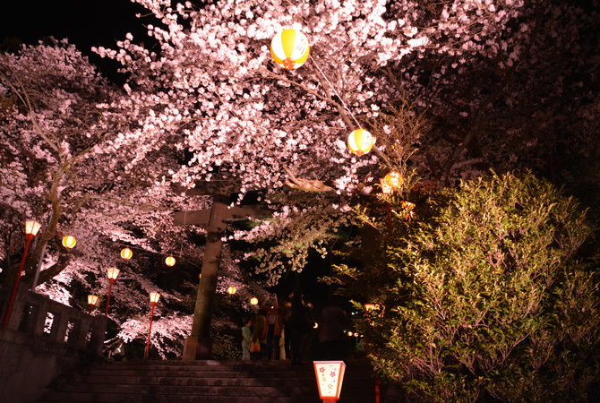 鬼怒川溫泉夜櫻祭