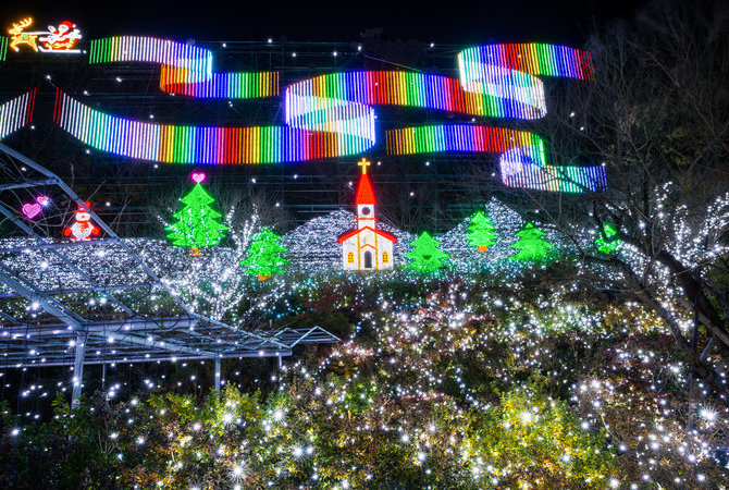 花卉的夢幻世界 光之花庭園