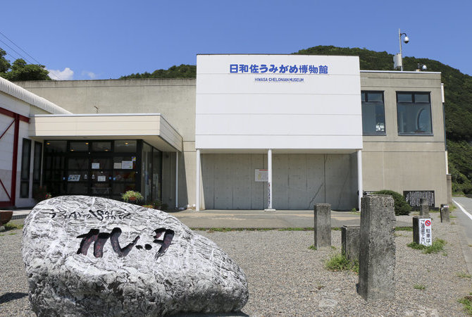 日和佐海龜博物館Caretta