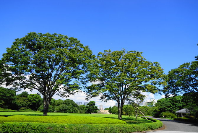 皇居東御苑