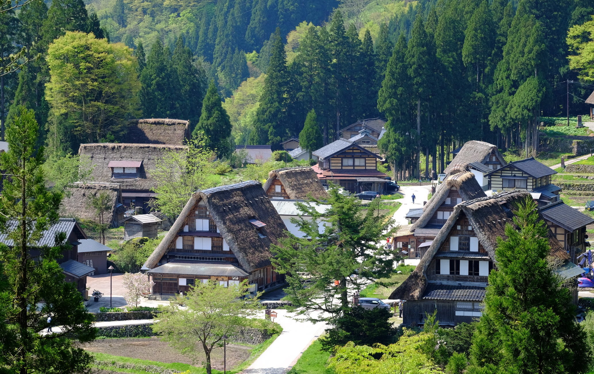 相倉合掌村聚落