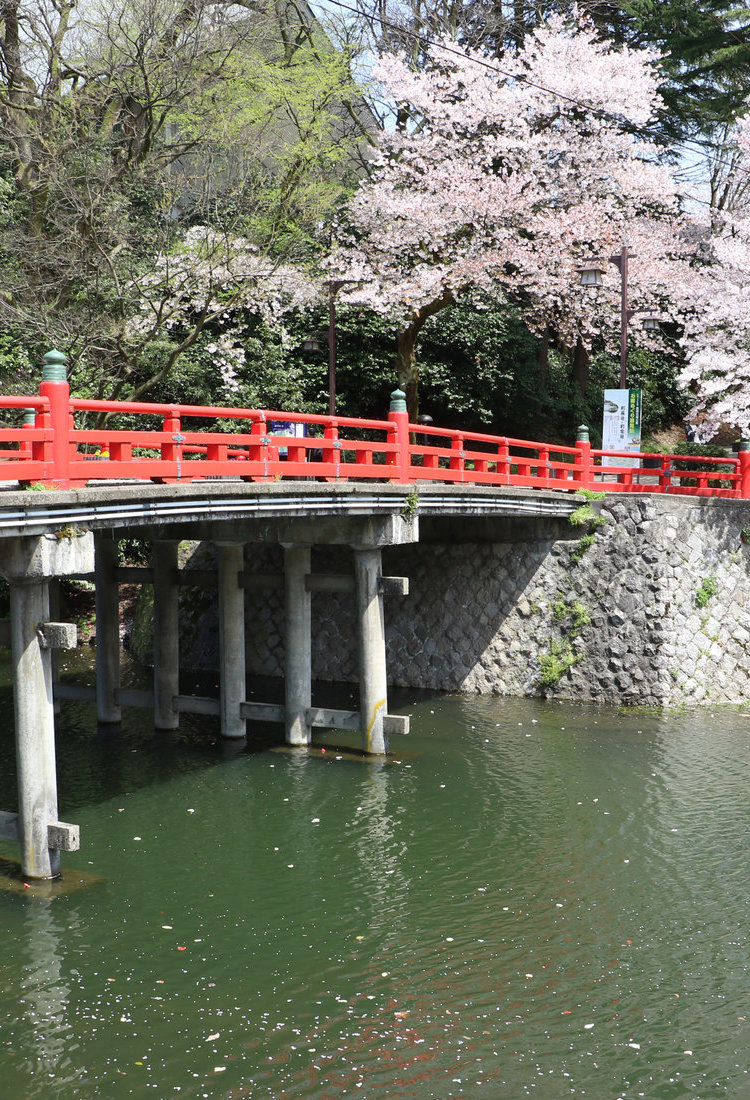 高岡