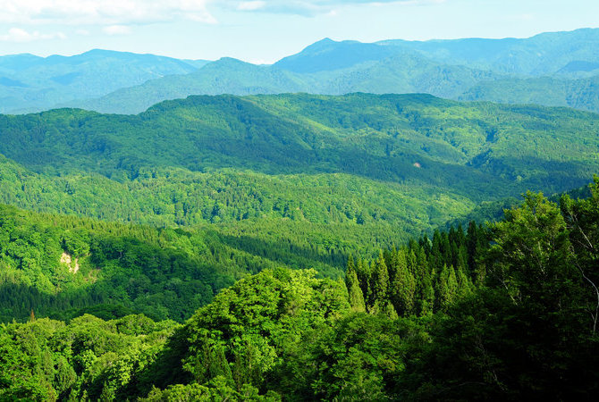 白神山地山脈（聯合國教科文組織）