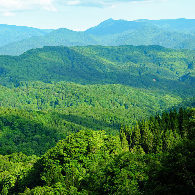 白神山地山脈（聯合國教科文組織）