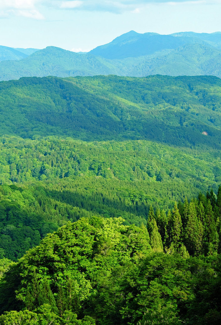 白神山地山脈（聯合國教科文組織）